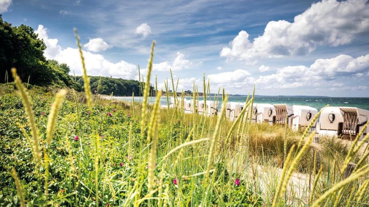 AreaSummer20KM AreaSummer20KM